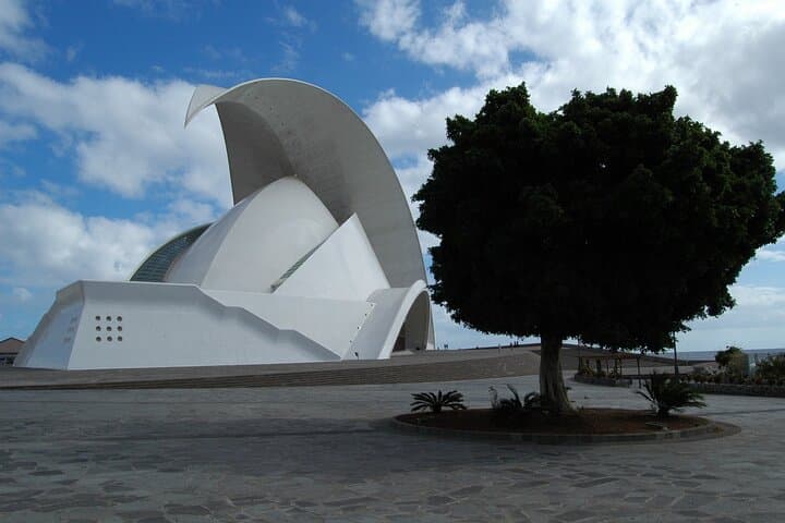Private 4-hour Tour of Santa Cruz de Tenerife with Hotel or Cruise Port pick-up