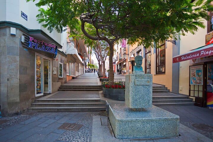 Private 6-hour Tour of La Orotava + Puerto de La Cruz with Hotel pick-up