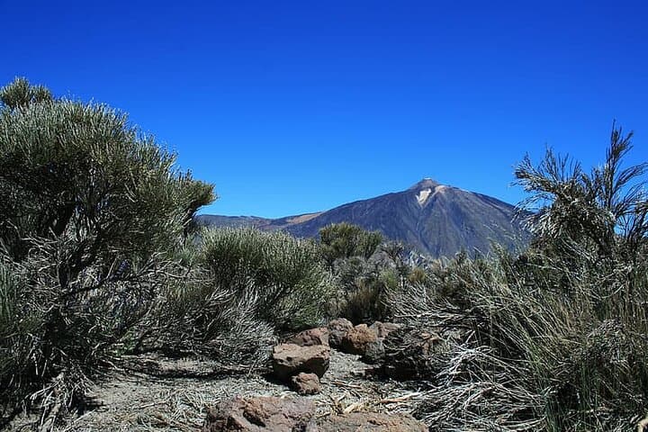 Private Full Day Tour to the Top of the Teide: go hiking and return in cable car