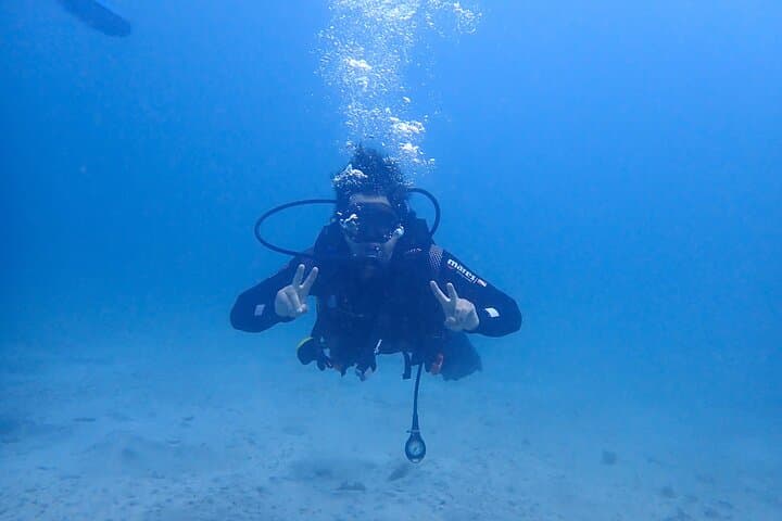 Basic Diver course for beginners with 1 dive in the Ocean