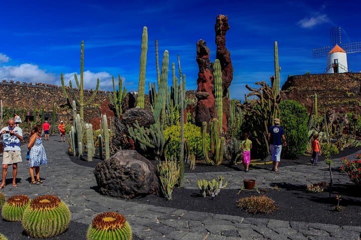 JARDÍN DE CACTUS