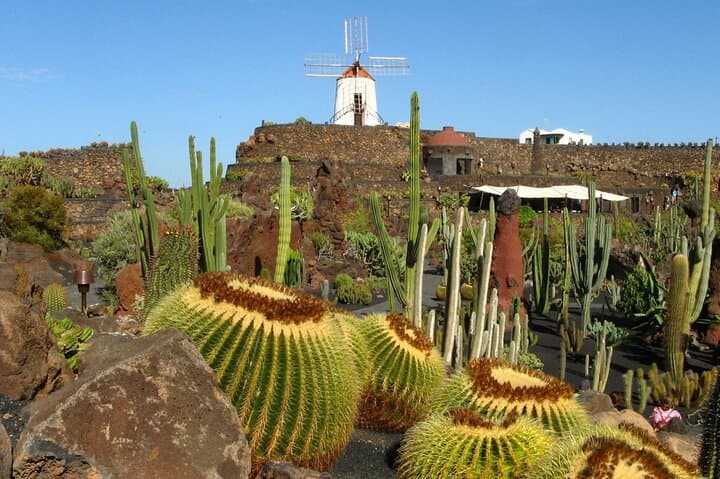 JARDÍN DE CACTUS