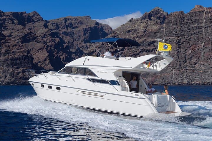 Private Boat Tour on Royal Ocean Yacht, Tenerife