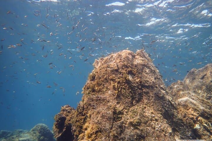SSI Open Water, South Tenerife