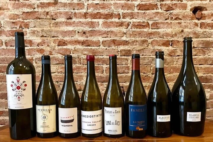 Barcelona Fun Wine Tasting with a Sommelier