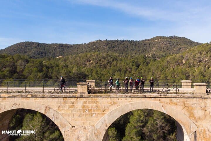 Via Verde Bike Tour to the Ebro Delta