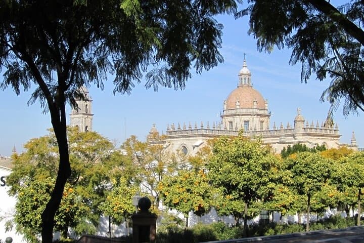 View of the Cathedral