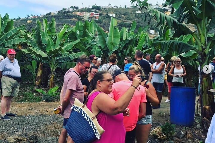 Grupo de turistas