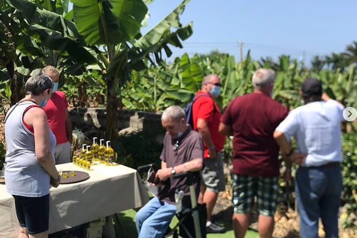 Tasting banana liqueur