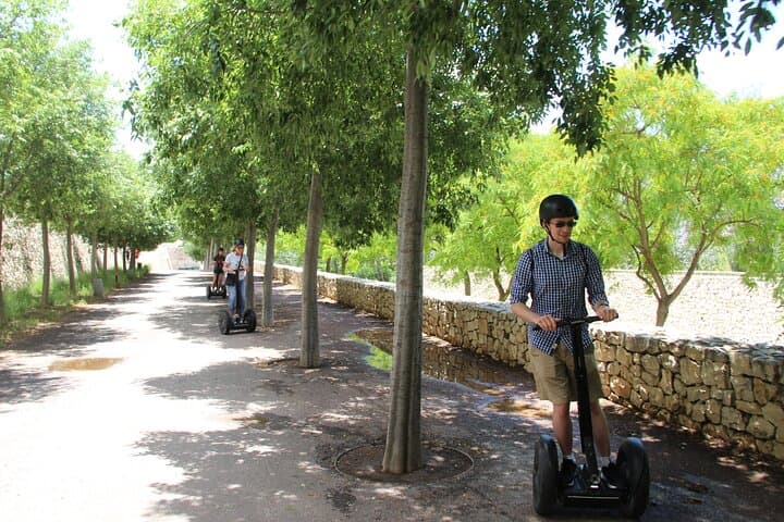 Fun Private Segway Tour in Valencia