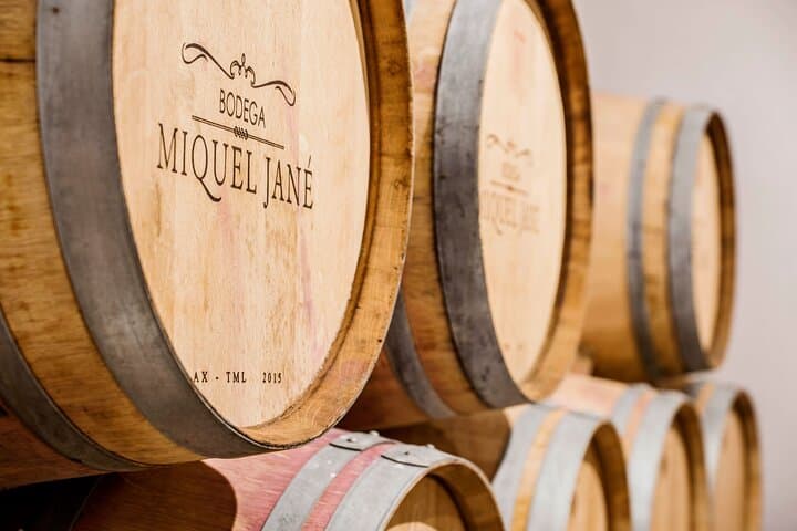Electric Bicycle Route And Wine Tasting