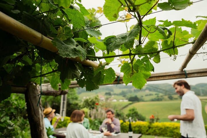 Private Basque Cheese & Txakoli Wine Tour from San Sebastian