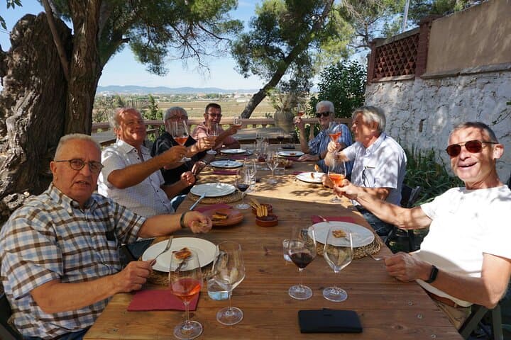 Tapas overlooking the vineyards