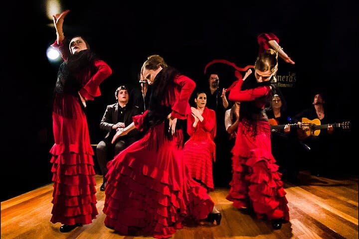 Guided Tapas and Flamenco in Madrid