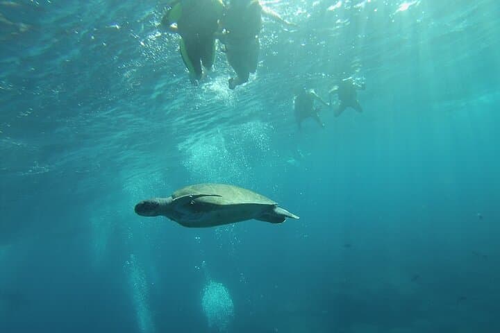 Kayak Route along the Volcanic Coast in Tenerife South with Snorkeling