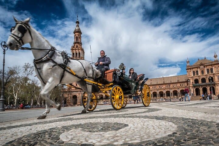 Private trip to Seville w/ hotel or shore pickup on Costa del Sol