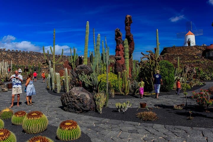 Lanzarote Tour: Lagomar Museum, Cactus Garden & La Graciosa