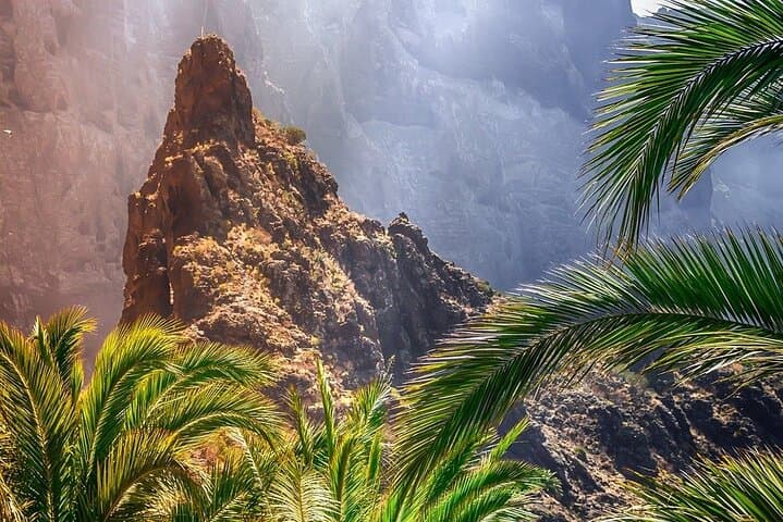 8-Hour Rental in a Luxury Car and Driver/Official Private Guide in Tenerife