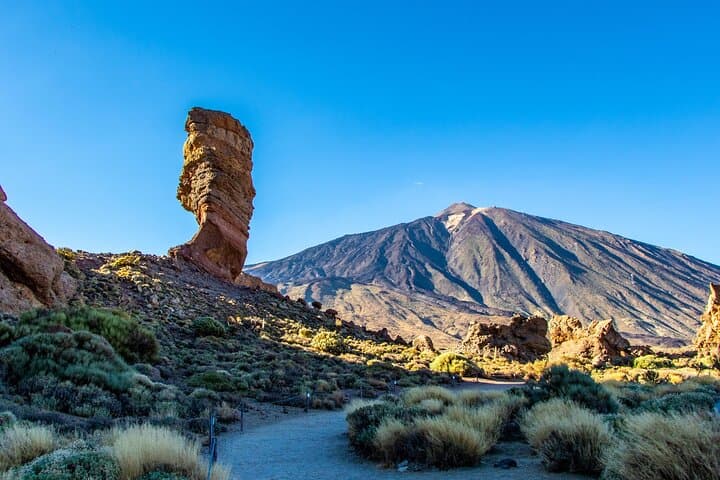 Full Day Tour with Certified Guide in Tenerife