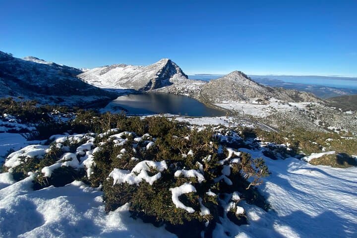 Private Tour from Oviedo to Covadonga, lakes, & sailors villages