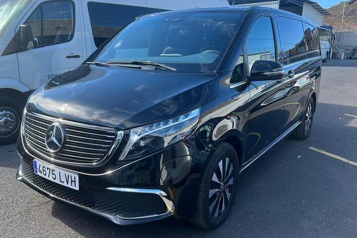 8-Hour Rental in a Luxury Car and Driver/Official Private Guide in Tenerife