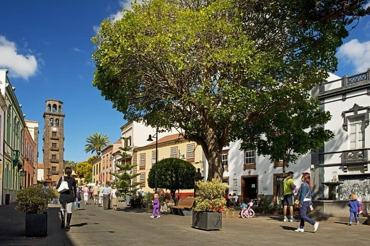 Full Day Tour of Santa Cruz and San Cristóbal de La Laguna