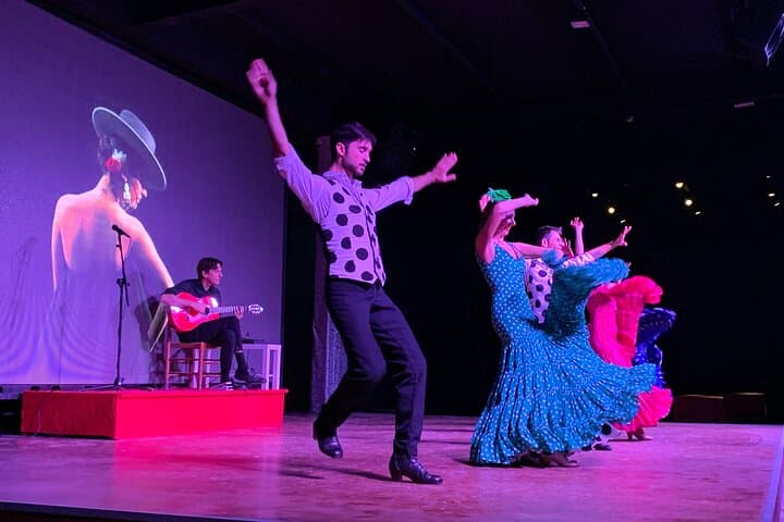 Flamenco Show at the Coliseo theater in San Miguel