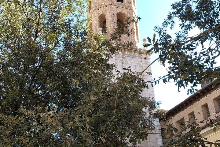 Private tour to Valladolid from Madrid with hotel pick up