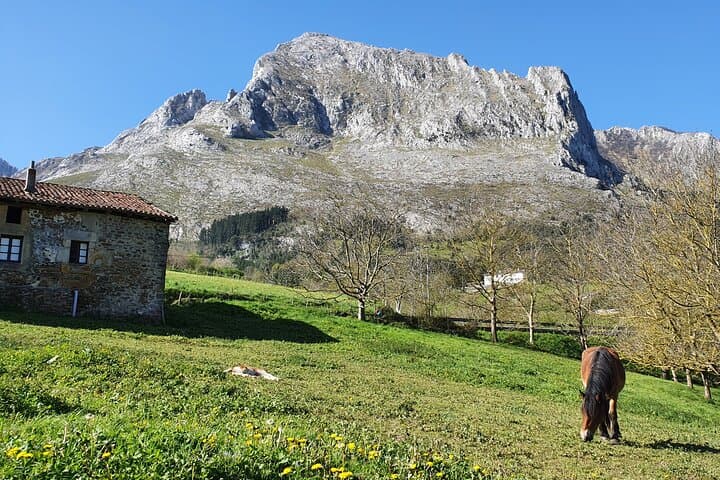 Valle de Atxondo