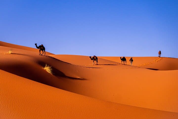 All inclusive luxury 4Days trip to Sahara from Spain