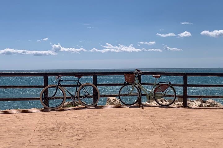 Vintage Style Bike Rental in Malaga