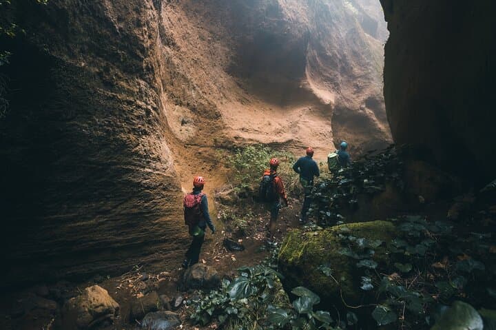 Small-Group Half-Day Canyoning in La Orotava