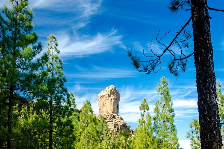 Full-Day Gran Canaria Tour with Teror, Tejeda and Lunch in Fataga