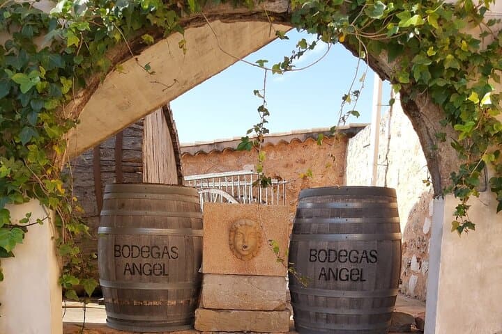 Mallorca Bodega & Olive Minibus Tour incl. Pick-up South Coast