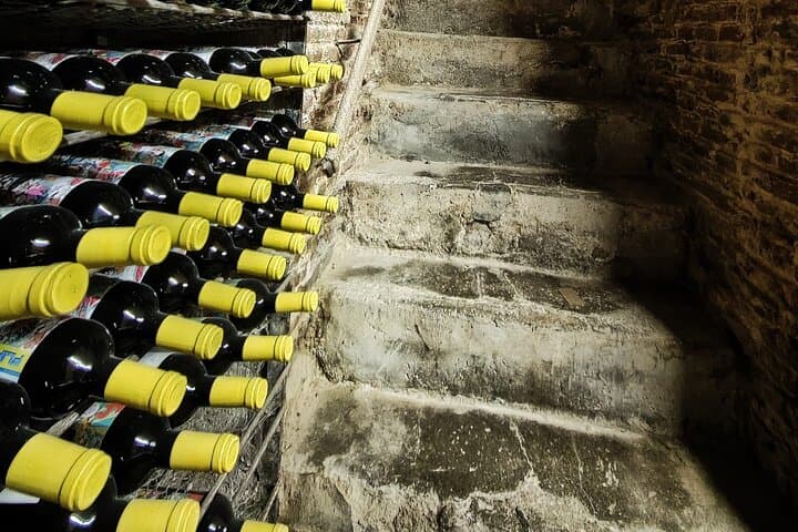 Hypno Tasting Wine Tasting under Hypnosis in Madrid