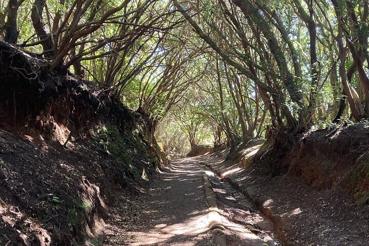 Anaga Private Tenerife Adventure Tour minimun 3 persons