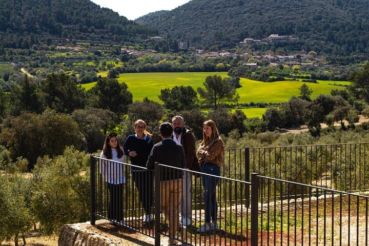 Views of the estate