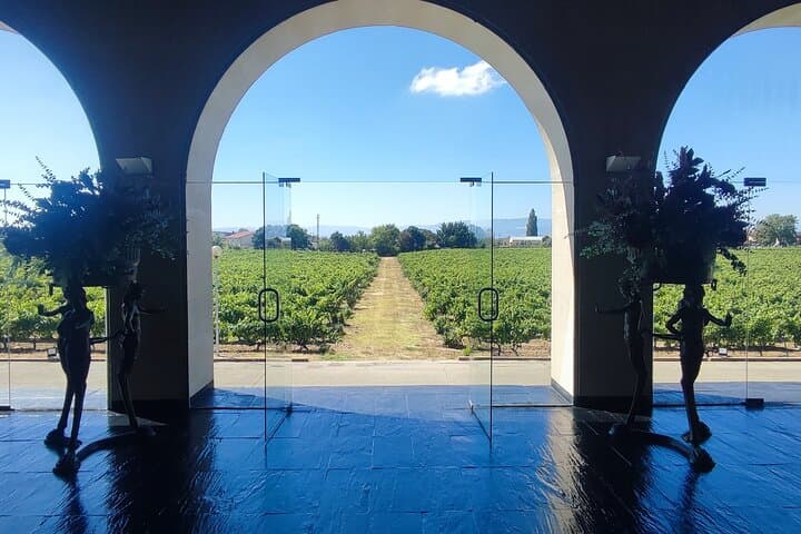 Secret Rioja: Exclusive Winery Access and Tasting Masterclass