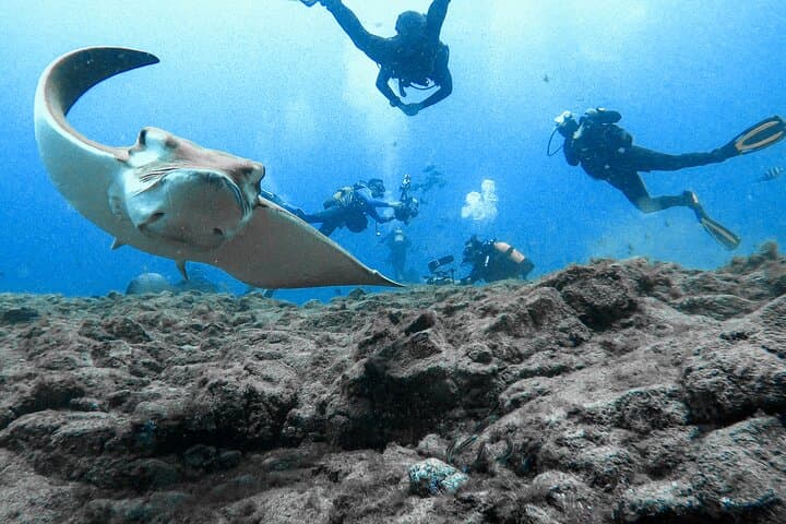 Rays Bay