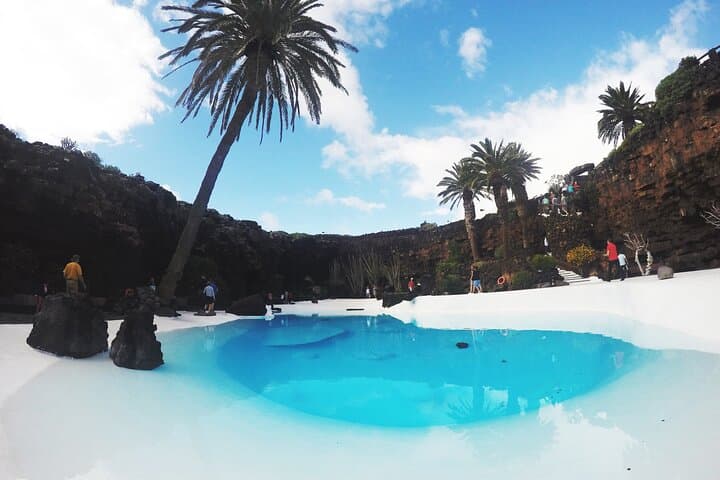 Grand Tour to Timanfaya and Jameos del Agua for cruise passengers