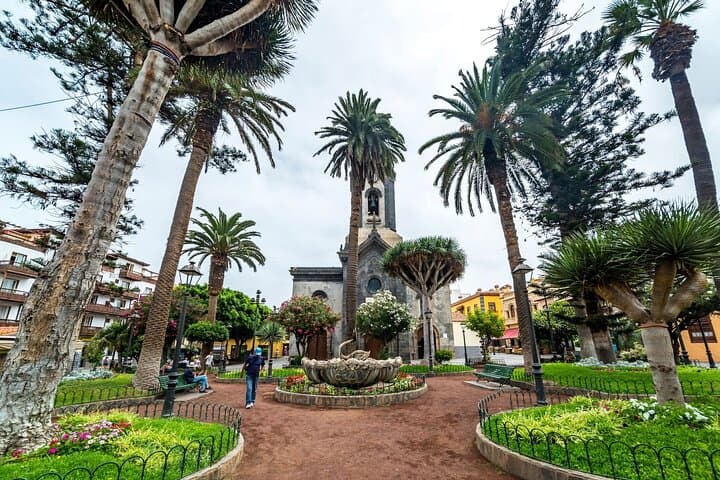 Tenerife Highlights Full Day Tour with Lunch