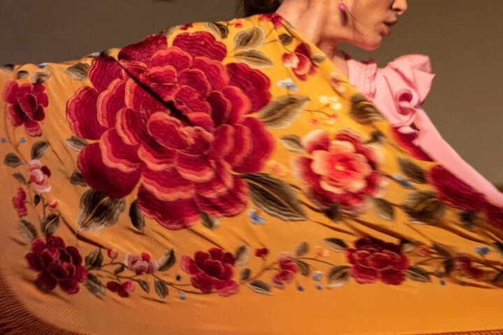Flamenco Show at the Tablao de la Villa Madrid