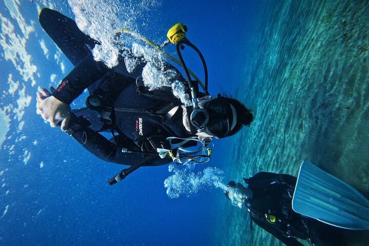 Tenerife Private Scuba Diving – Certified Instructor and Photos