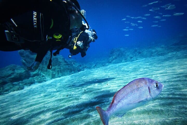 Tenerife Private Scuba Diving – Certified Instructor and Photos