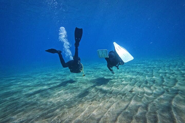 Tenerife Private Scuba Diving – Certified Instructor and Photos