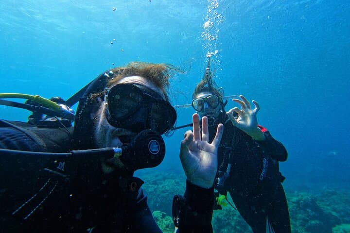 Tenerife Private Scuba Diving – Certified Instructor and Photos