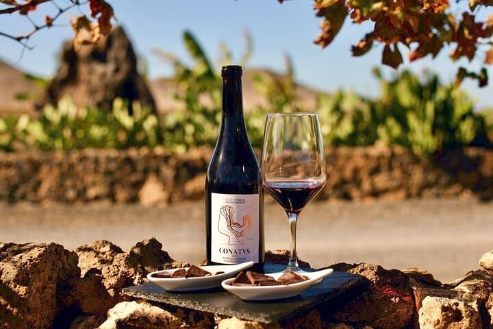 Vineyard Tour with Wine Tasting and Local Products