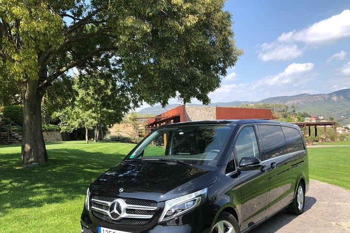 Private Transfer from Barcelona City to the Port (or vice versa)