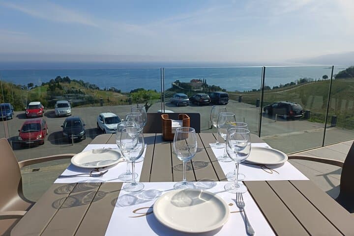 Private Half Day Txakoli Wine Tour & Getaria Fishing Village