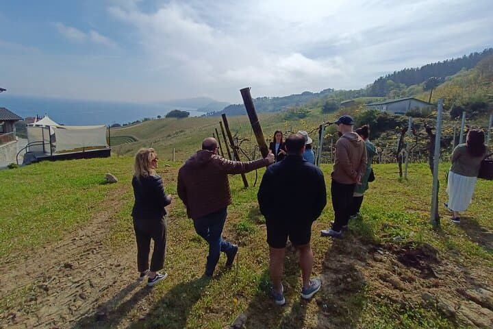Private Half Day Txakoli Wine Tour & Getaria Fishing Village